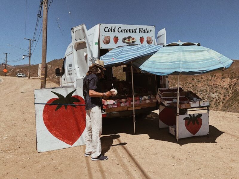 Malibu: Vintage VW Sightseeing Tour and Wine Tasting - FAQ