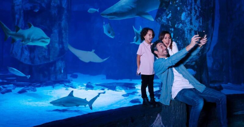Mall of America: Sea Life Minnesota Aquarium Entry Ticket - A Closer Look at What to Expect