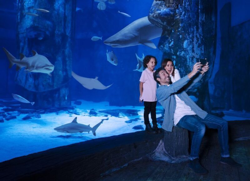 Mall of America: Sea Life Minnesota Aquarium Entry Ticket - Final Thoughts: Who Will Love This?