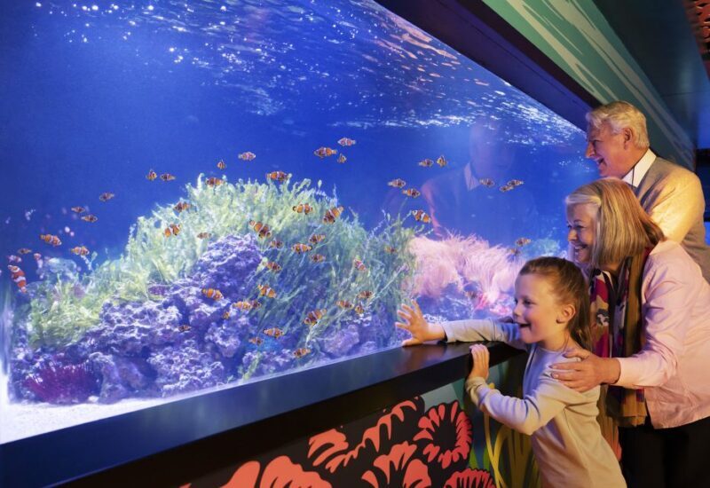Mall of America: Sea Life Minnesota Aquarium Entry Ticket - FAQ