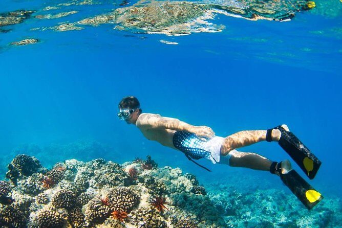 Mamutik + Sapi Island SnorkelingTrip from Kota Kinabalu - Final Thoughts