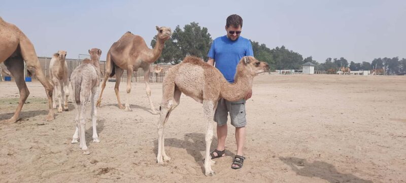 Manama: Bahrain Half-Day Desert Tour - Manama: Bahrain Half-Day Desert Tour – An Authentic Snippet of the Kingdom