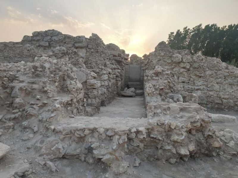 Manama: Bahrain Half-Day Desert Tour - Key Points