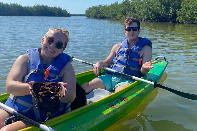 Manatee and Dolphin Kayak Tour - The Sum Up: Who Will Love This Tour?