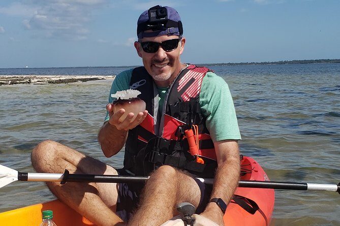 Manatee and Dolphin Kayaking | Wildlife Refuge (Titusville) - Final Thoughts