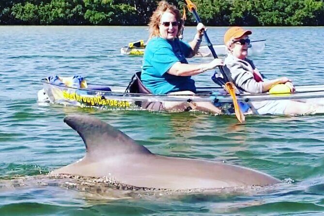 Manatee And Dolphin Tour - What to Expect from the Itinerary