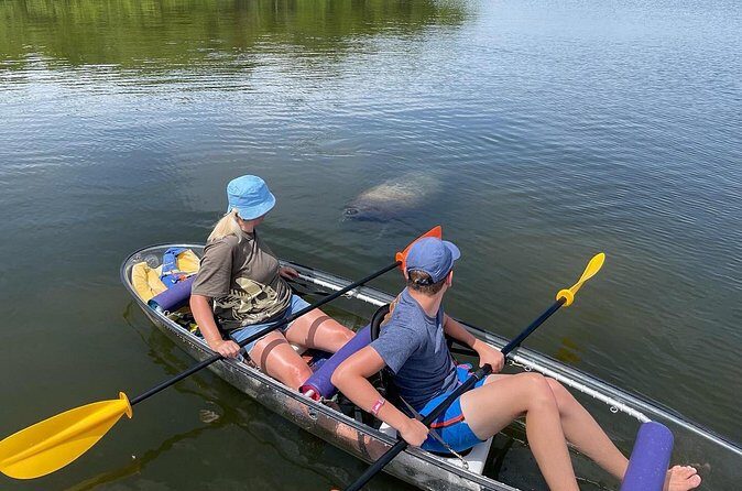 Manatee And Dolphin Tour - Final Thoughts: Who Will Love This Tour?