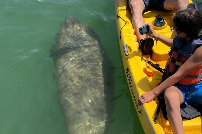 Manatee Discovery Anna Maria Island - Final Thoughts