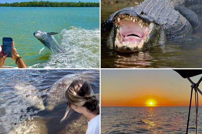 Manatee, Dolphin and 10,000 Islands Sunset Cruise! - Key Points