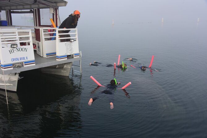 Manatee Snorkel Tour - Small Group - The Sum Up: Who Will Love This?