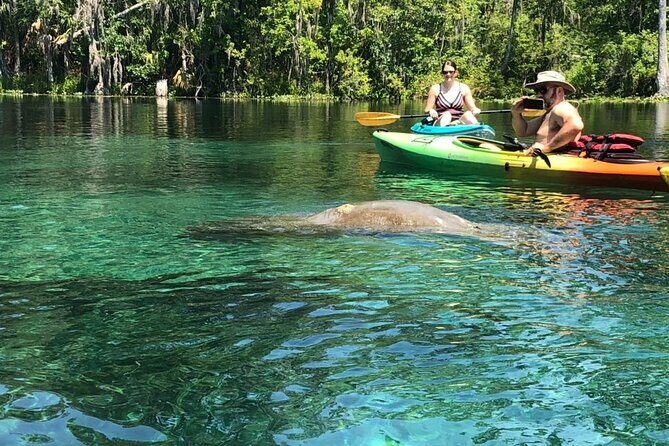 Manatee Springs Adventure Tour - Introduction