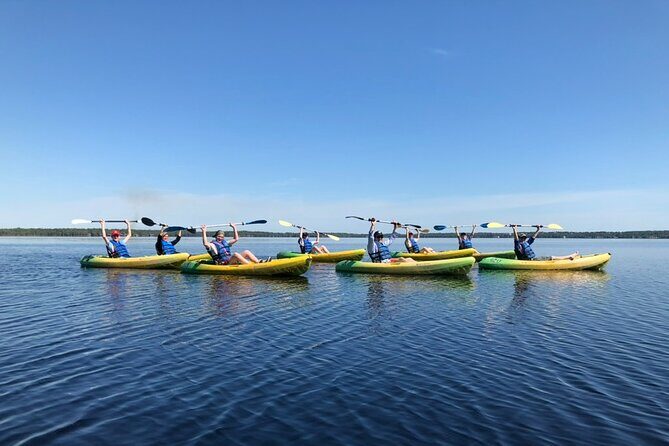 Manatee Springs Adventure Tour - A Detailed Look at the Tour