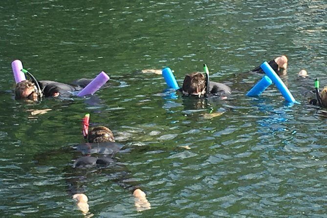 Manatee Swim and Wildlife Park with Upgrade Options from Orlando - An In-Depth Look at the Tour