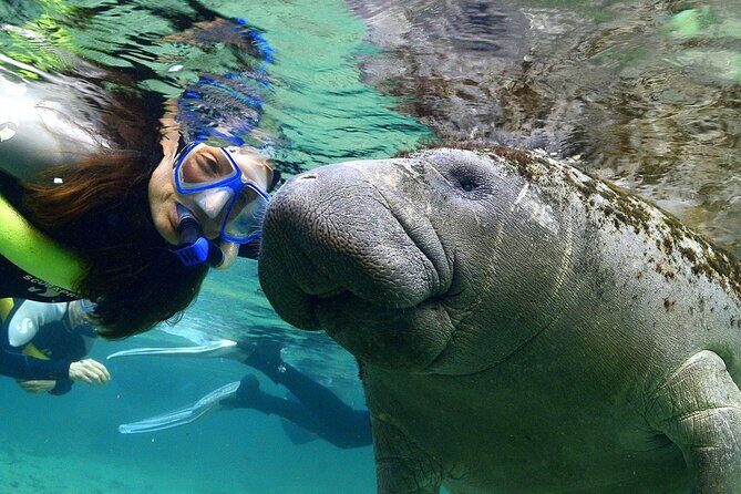 Manatee Swim and Wildlife Park with Upgrade Options from Orlando - What People Are Saying: Real Review Highlights