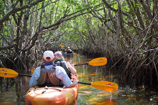 Manatees and Mangrove Tunnels Small Group Kayak Tour - An In-Depth Look at the Experience