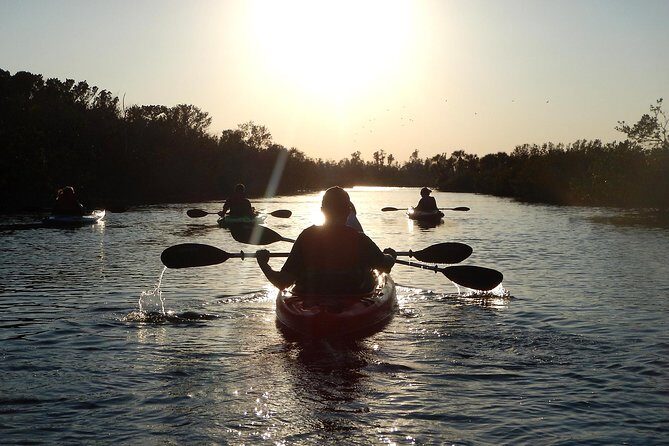 Manatees/Sunset/Bioluminescence Tour - Who Should Take This Tour?