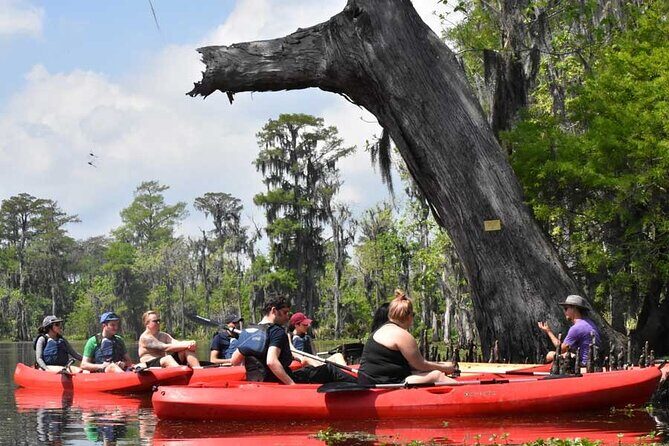 Manchac Swamp EXTENDED Kayak Tour with Pickup - Key Points