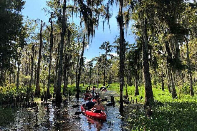 Manchac Swamp EXTENDED Kayak Tour with Pickup - An In-Depth Look at the Manchac Swamp Kayak Tour