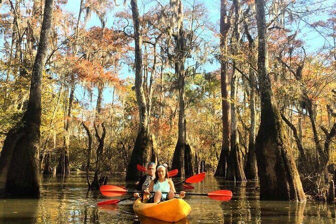 Manchac Swamp EXTENDED Kayak Tour with Pickup - The Bottom Line