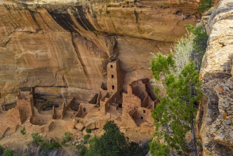 Mancos: Mesa Verde National Park Half-Day Tour - The Tour Price and Value