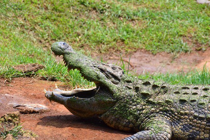 Mandela Capture Site & PheZulu Cultural Village Day Tour from Durban - Departure and Transportation