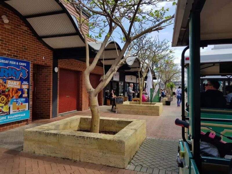Mandurah: Big Toot 30 mins scenic tour - What to Expect from the Big Toot Experience
