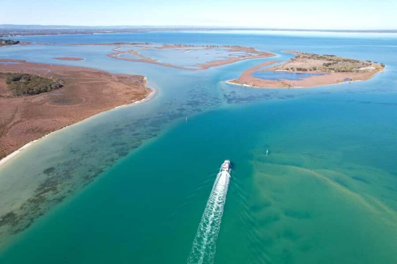 Mandurah: Dolphin & Giant Sightseeing Cruise - Key Points