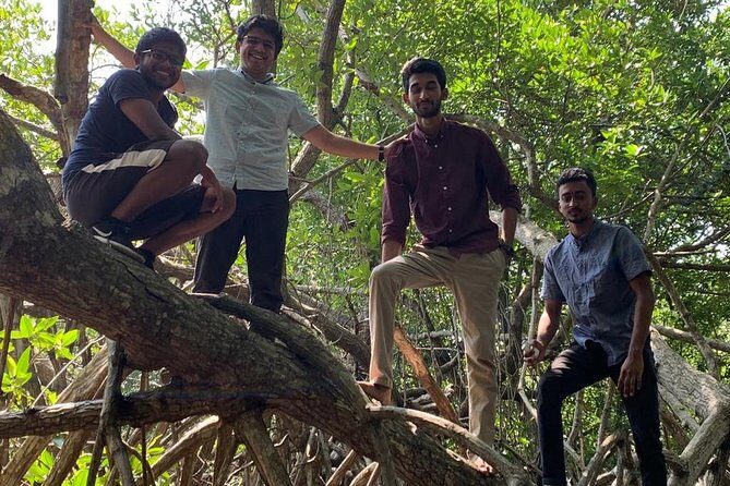 Mangrove Adventure - Exploring the Mangrove Adventure in Detail