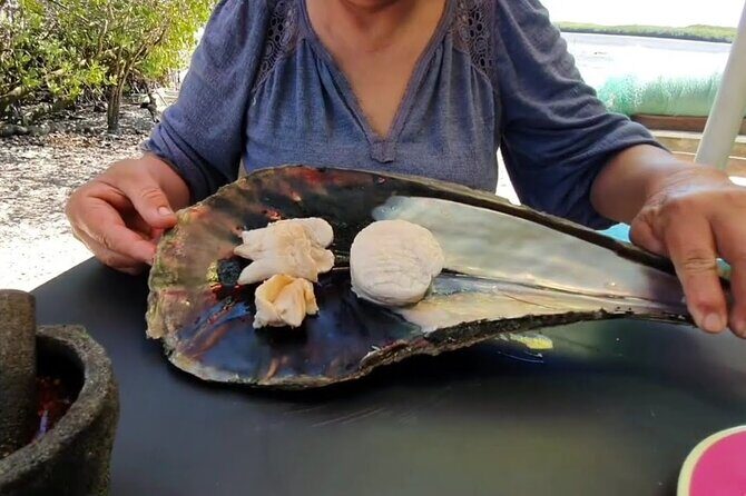 Mangrove Adventure with Snorkeling and Shellfish Tasting - Key Points