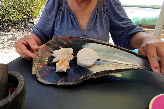 Mangrove Adventure with Snorkeling and Shellfish Tasting - Final Thoughts: The Value of This Eco-Adventure