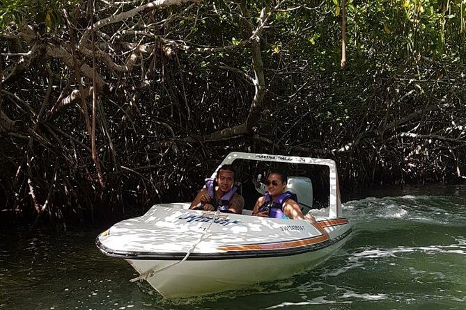 Mangrove and Lagoon Speed Boat Tour - Detailed Breakdown of the Experience