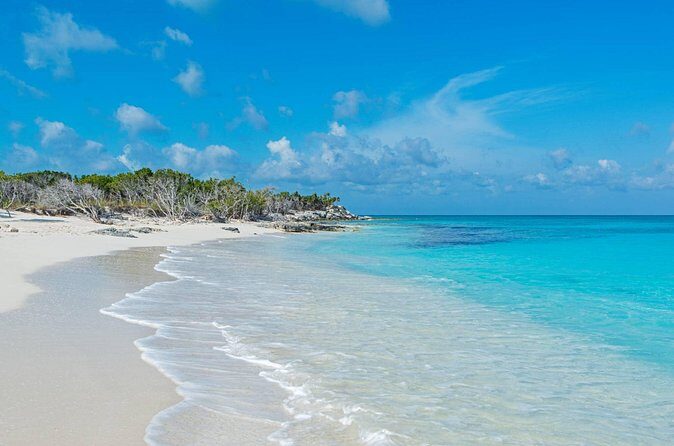 Mangrove Cay and Iguana Island Tours - Why This Tour Offers Real Value
