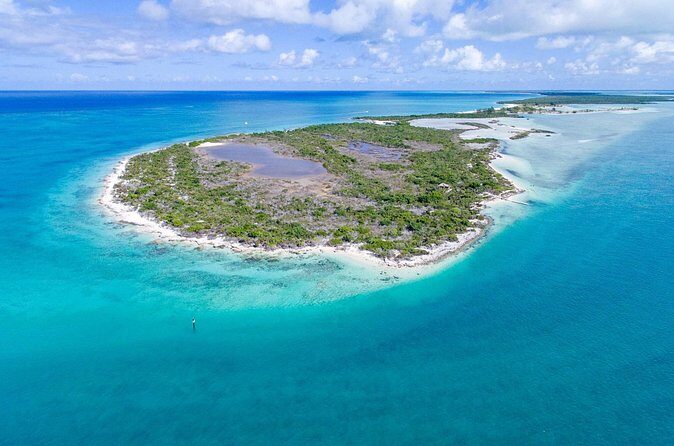 Mangrove Cay and Iguana Island Tours - Who Will Love This Tour?