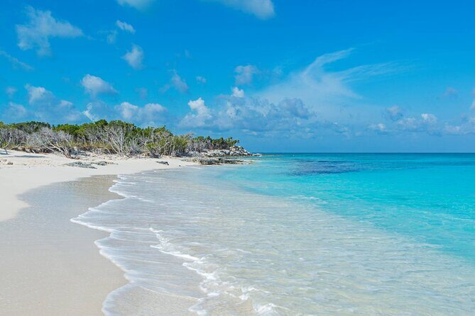 Mangrove Cay and Iguana Island Tours - Frequently Asked Questions