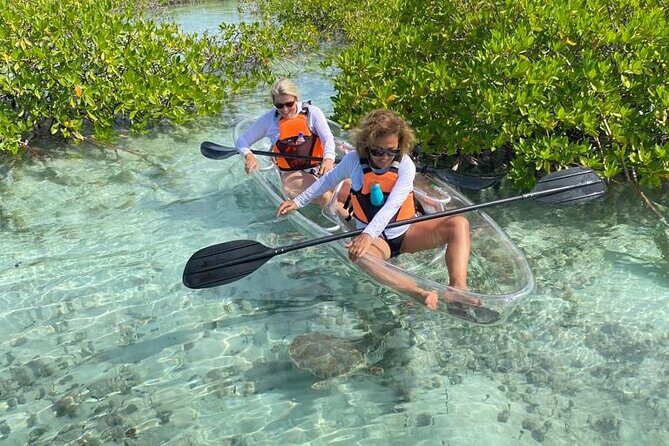 Mangrove Cay And Iguana Island Venture In Turks And Caicos Island - An In-Depth Look at the Tour Experience