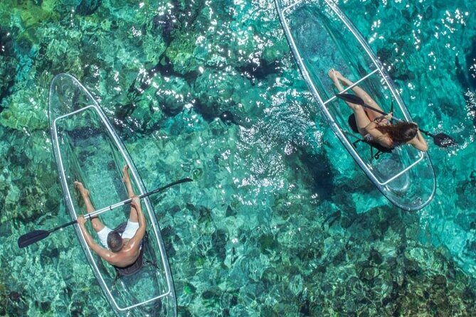 Mangrove Cay Tour - Mangrove Cay Tour Review: An Up-Close Look at Nature’s Hidden Gems in Turks and Caicos