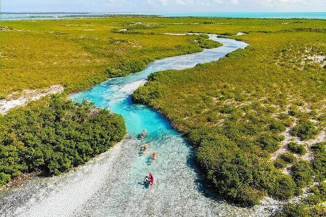 Mangrove Cay Tour - An in-Depth Look at the Mangrove Cay Tour Experience