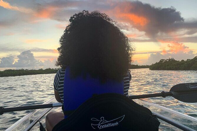 Mangrove Clear Kayak Tour - The Itinerary: A Step-by-Step Breakdown