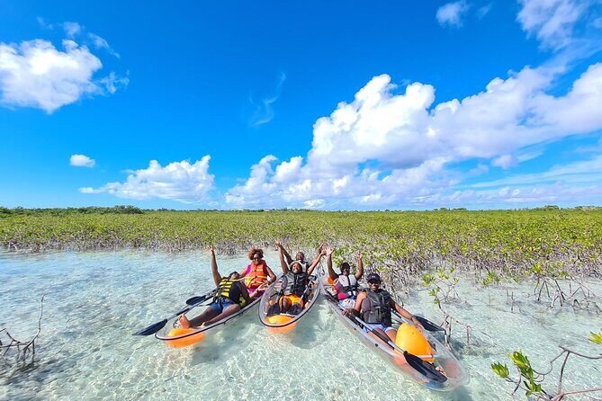 Mangrove Clear Kayak Tour - Practical Tips for Travelers