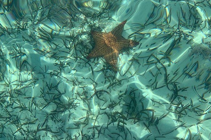 Mangrove Clear Kayak Tour - Who Will Love This Tour?