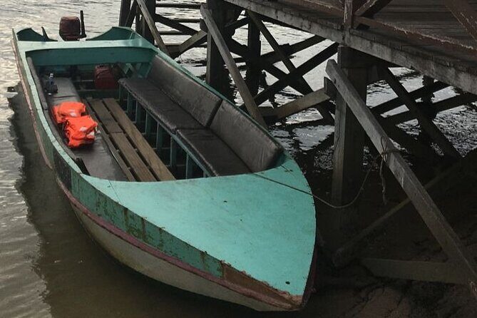 Mangrove Cruise with Fireflies Tour Including Dinner from Sandakan - Key Points