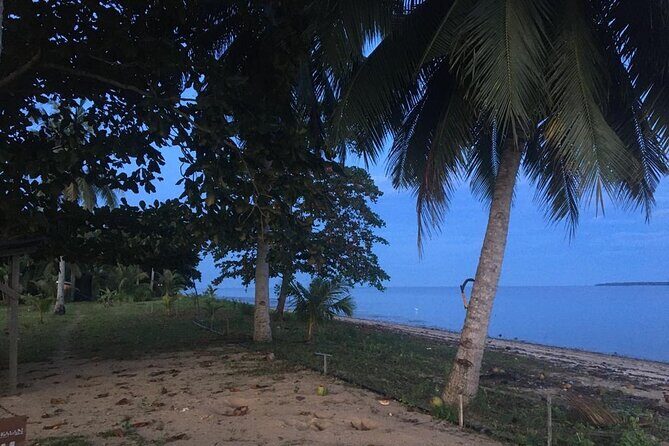 Mangrove Cruise with Fireflies Tour Including Dinner from Sandakan - What Travelers Are Saying