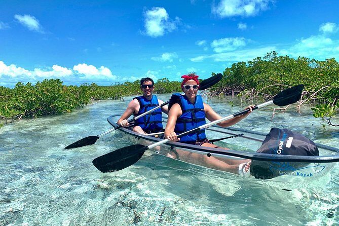 Mangrove & Iguana Clear Kayak Tour - Who Will Love This Tour?