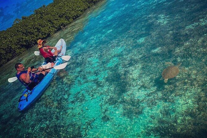 Mangrove & iguana Tour - Key Points