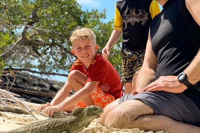 Mangrove & iguana Tour - The Itinerary and What to Expect