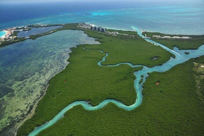 Mangrove Jungle Speedboat Experience - Authentic Experiences and Real Traveler Feedback