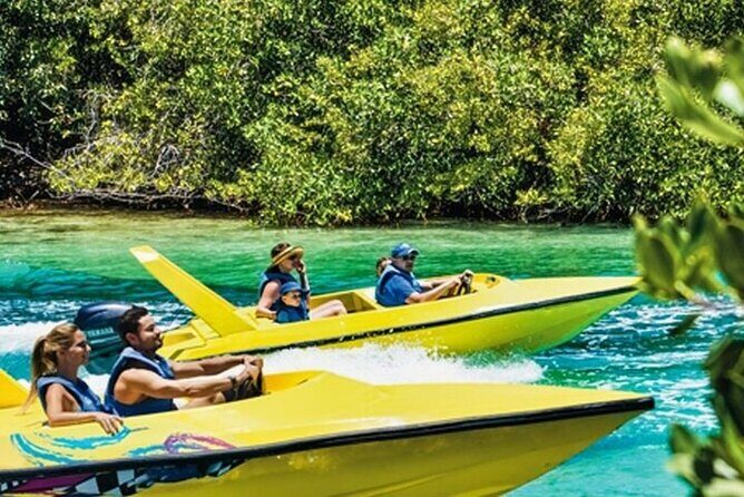 Mangrove Jungle Speedboat Experience - Who Should Consider This Tour