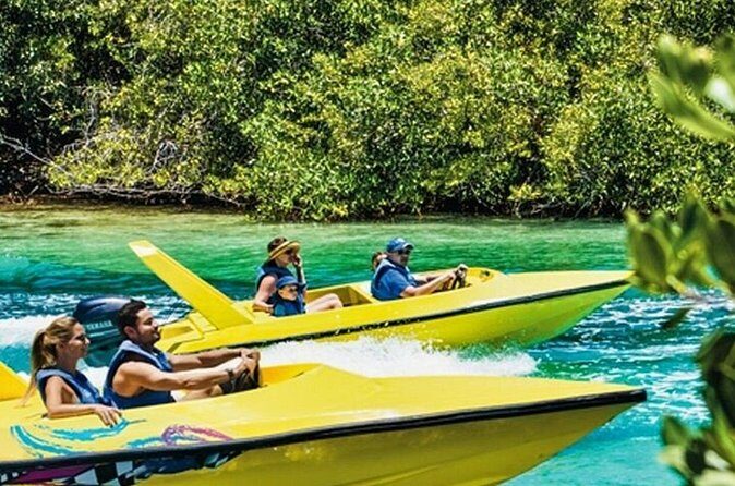 Mangrove Jungle Speedboat Experience - Final Thoughts