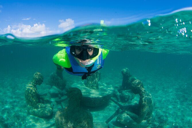 Mangrove Jungle Speedboat Experience - Final Thoughts: Is It Worth It?