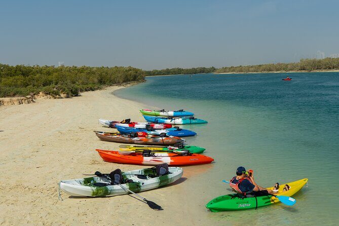Mangrove Kayaking Abu Dhabi - What to Expect During Your Mangrove Kayaking Tour